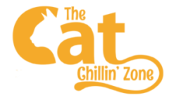 Cat chillin zone blog